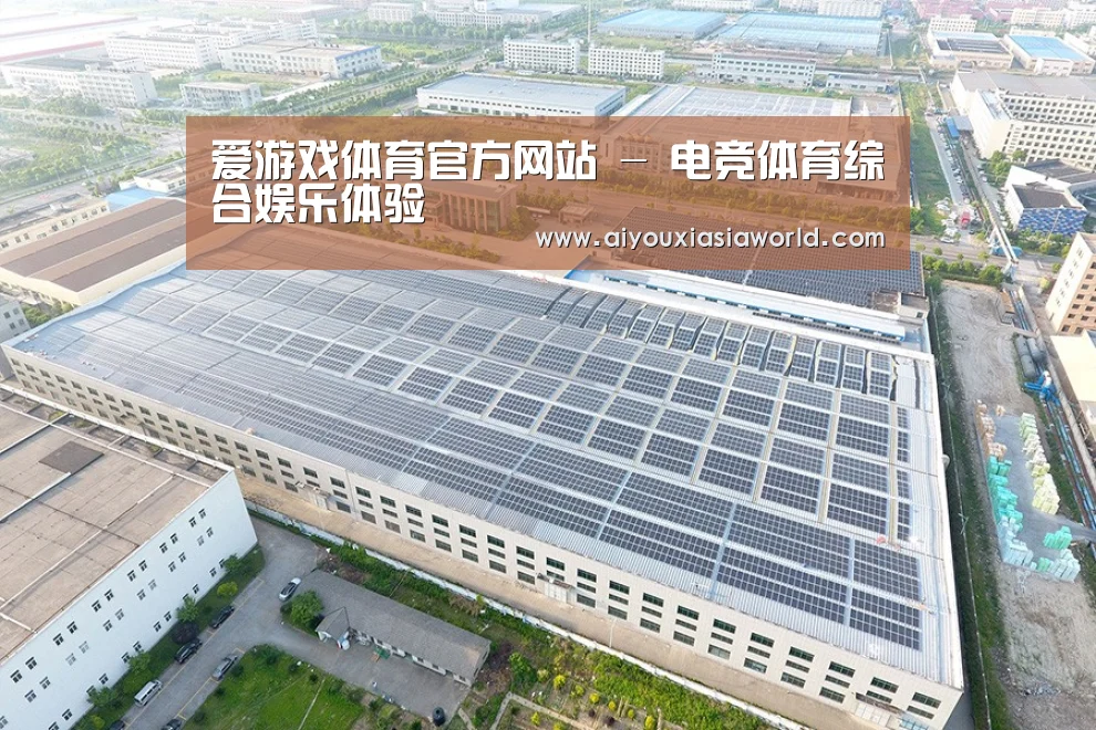 案例展示一