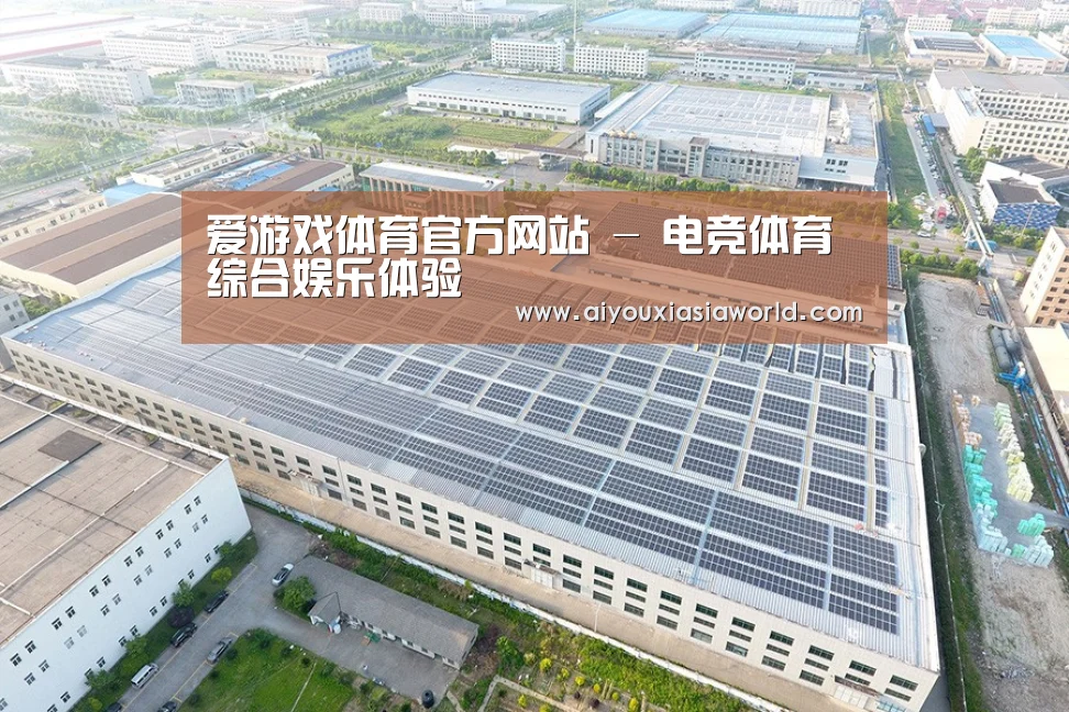 案例展示二