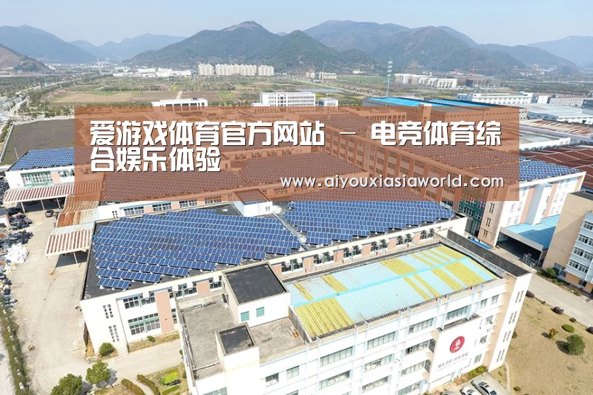 案例展示四