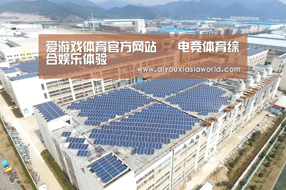 案例展示三