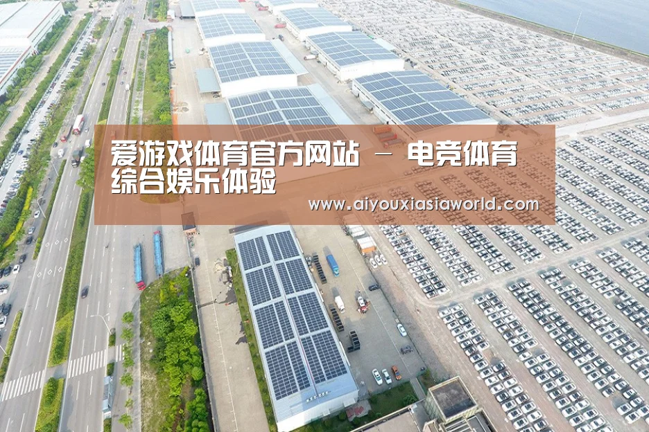 案例展示三