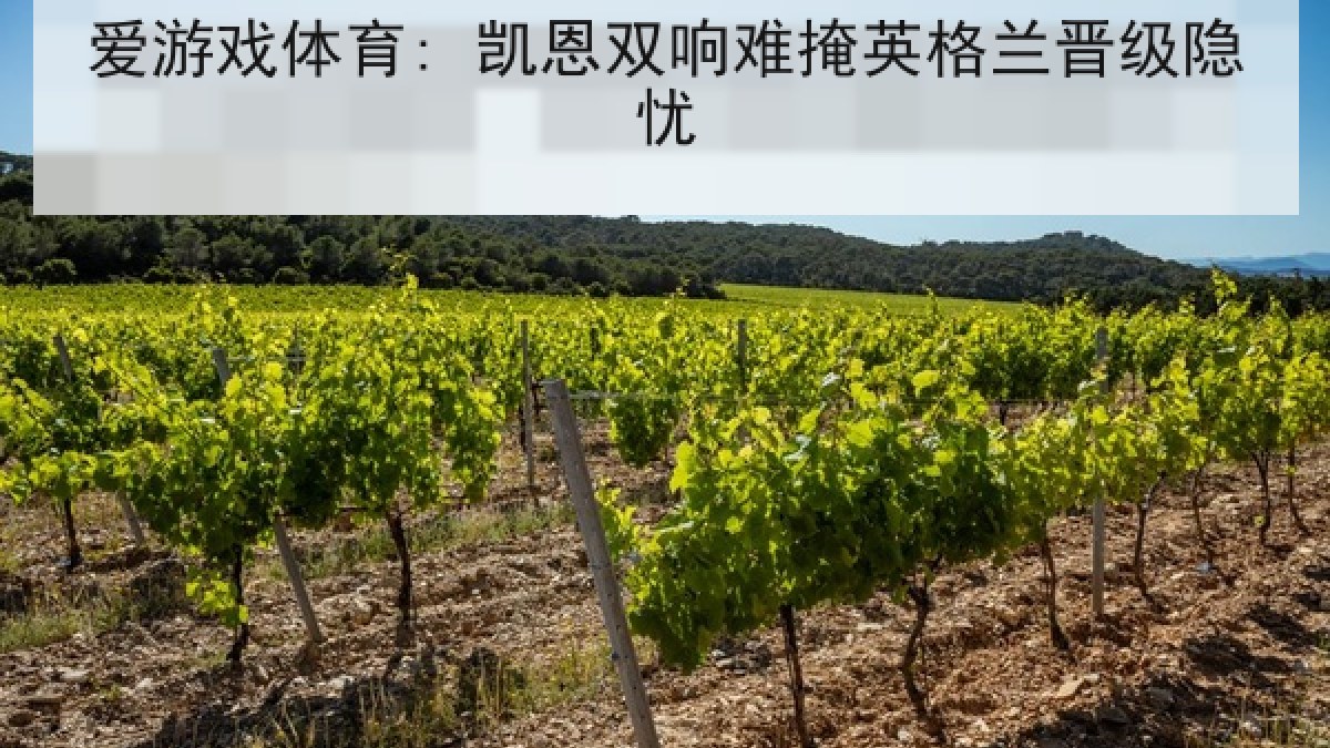 爱游戏体育: 凯恩双响难掩英格兰晋级隐忧