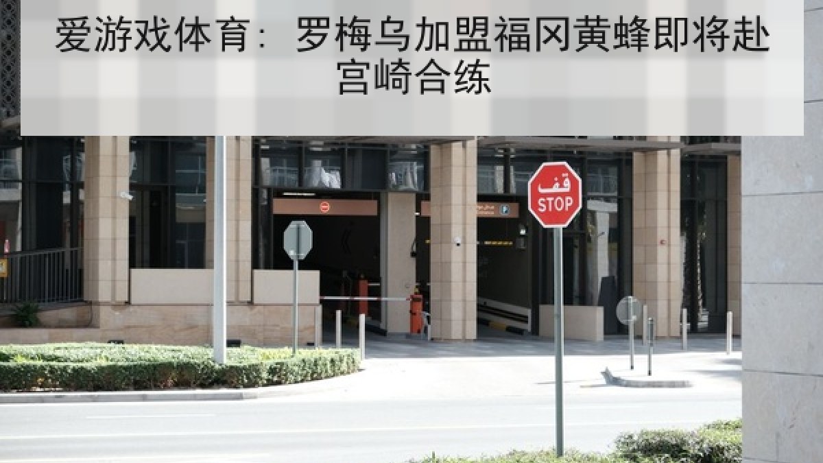 爱游戏体育: 罗梅乌加盟福冈黄蜂即将赴宫崎合练