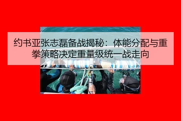 yue-shu-ya-zhang-zhi-lei-bei-zhan-jie-mi-ti-neng-fen-pei-yu-zhong-quan-ce-lve-jue-ding-zhong-liang-ji-tong-yi-zhan-zou-2-484.jpg