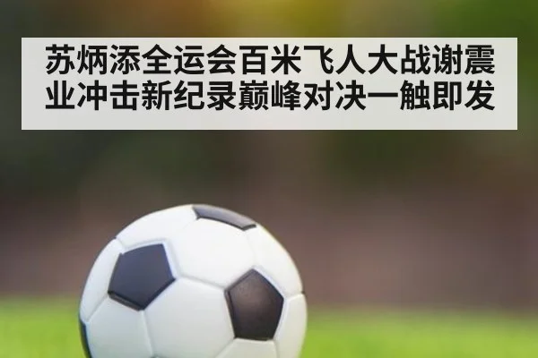 苏炳添全运会百米飞人大战谢震业冲击新纪录巅峰对决一触即发